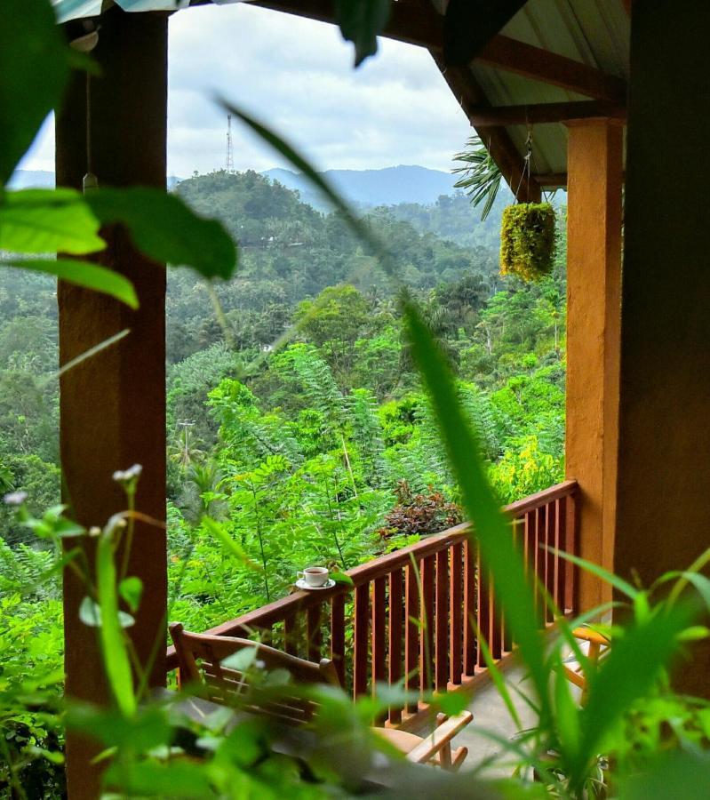 Rainforest Nature House Deniyaya Eksteriør billede
